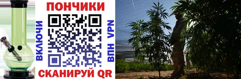  Cocaine Лобня