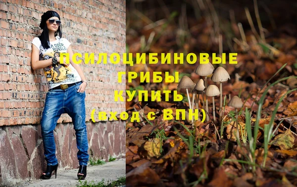 круглые Алзамай
