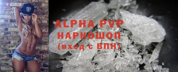 стафф Алексин