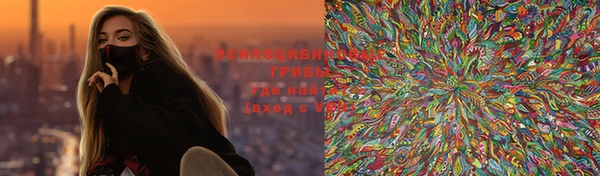 стафф Алексин