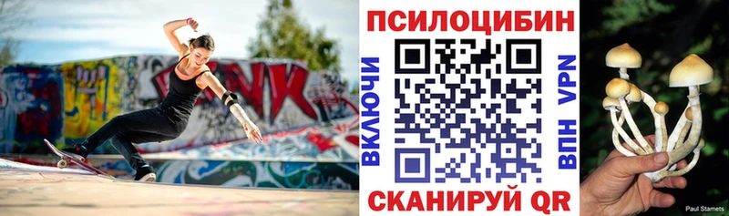 как найти закладки  Лобня  Псилоцибиновые грибы Cubensis 