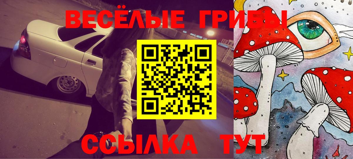 Alpha-PVP СК   Гашиш  COCAIN  Метадон  Codein  МАРИХУАНА  Меф МЯУ МЯУ кристаллы  Лобня  Вход с VPN 